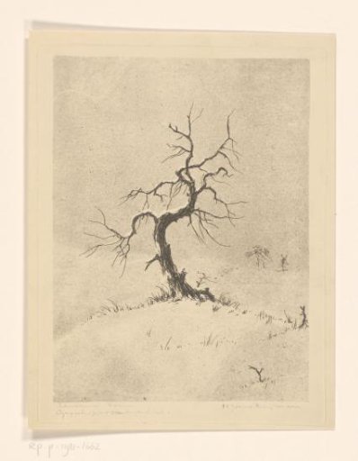 Lone Tree