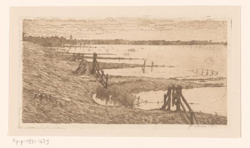 Flooded meadows near a dike