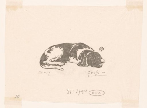 Reclining dog