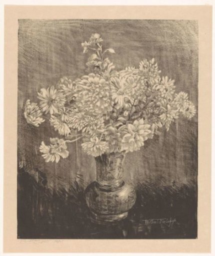Chrysanthemums in a vase