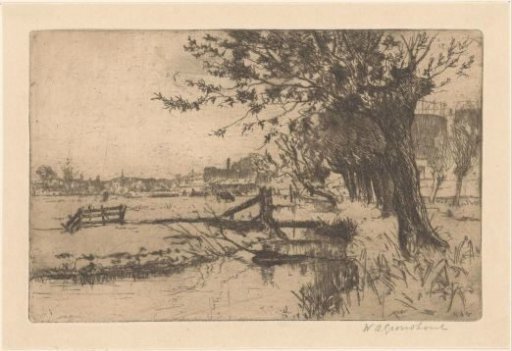 Ditch near the Municipal Gasworks in the Binckhorst in The Hague