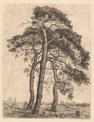 Landscape with three pines