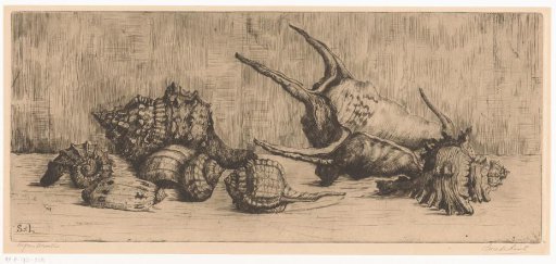 Shells