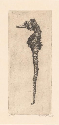 Seahorse