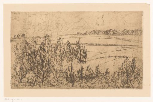 Landscape with fields and trees