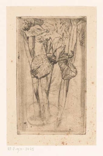Irises