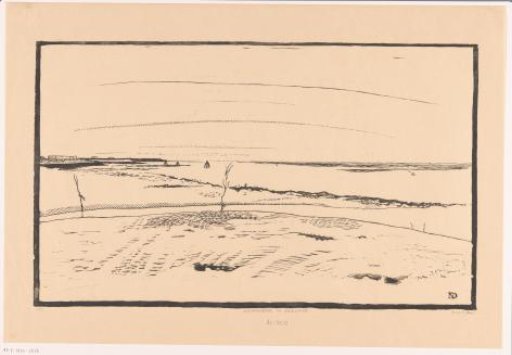 Salt marshes in Zeeland