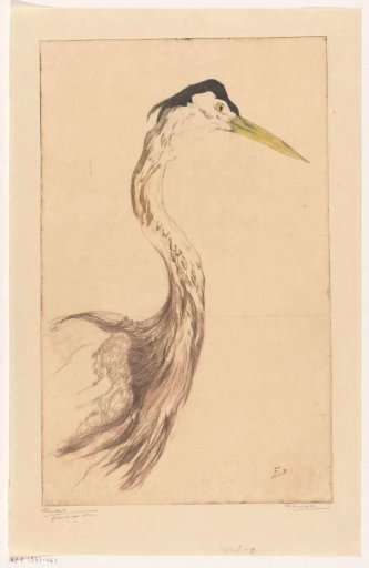 Heron