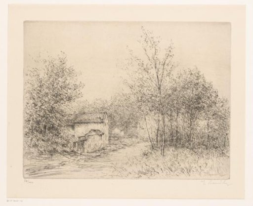 Rustic street with trees