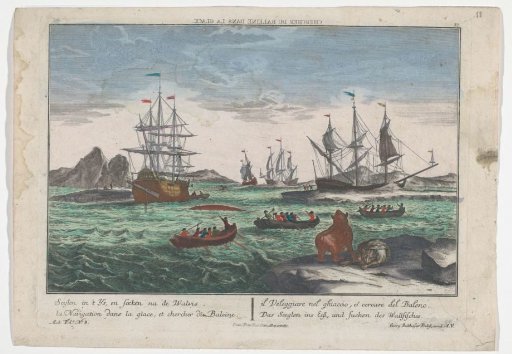 View of searching for whales