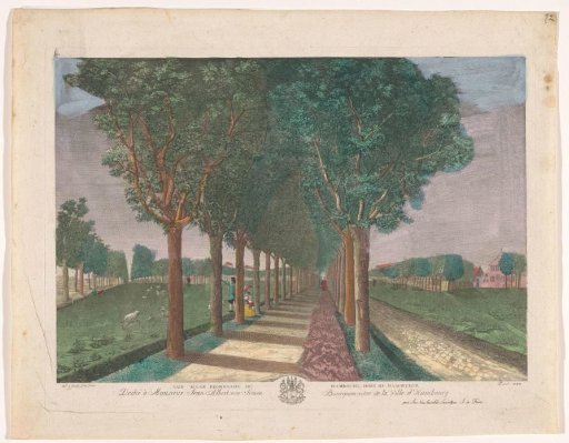 View of an Avenue near the Dammtor in Hamburg