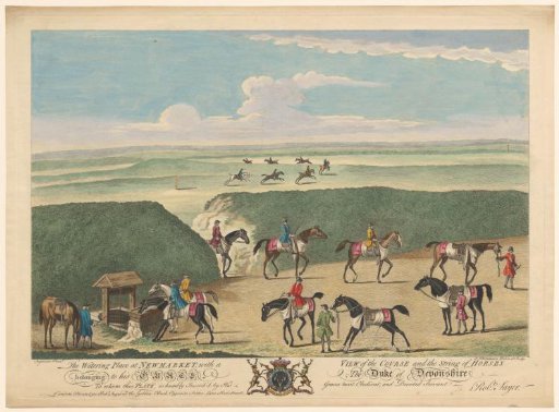View of the watering place and horse racing track at Newmarket