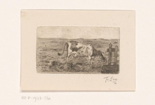 Cow by a Fence