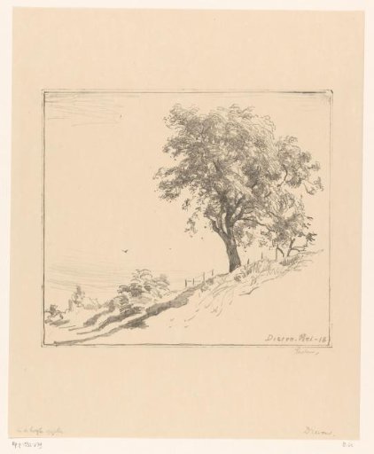 Landscape with tree on a dike at Dieren