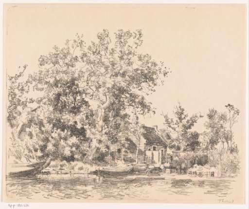 House by the water surrounded by trees