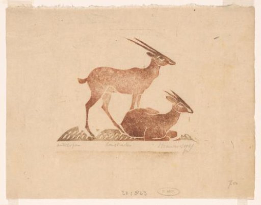 Antelopes