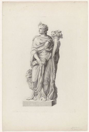 Flora