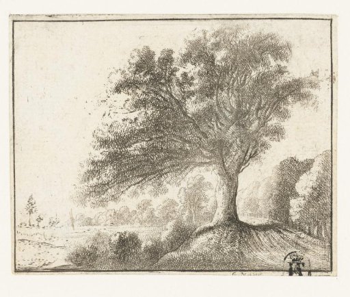 Landscape with a large tree