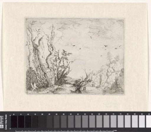 Landscape with a dead tree