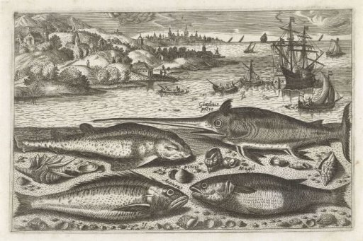 Four Fish on the Beach