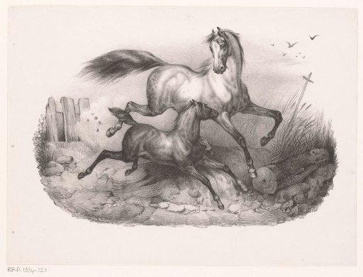 Mare with foal in gallop