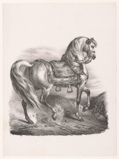 Riding horse with saddle and stirrups
