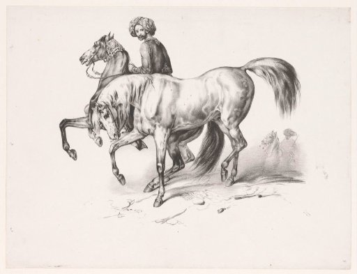 Turkish horses