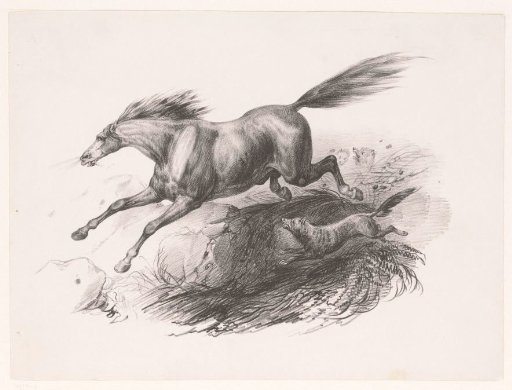 Horse chased by wolves
