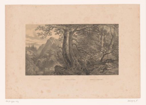 Two hunters in a forest in the Pyrenees