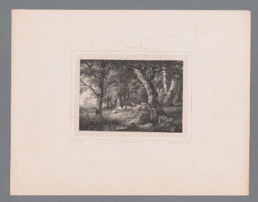 Forest view with a flock of sheep