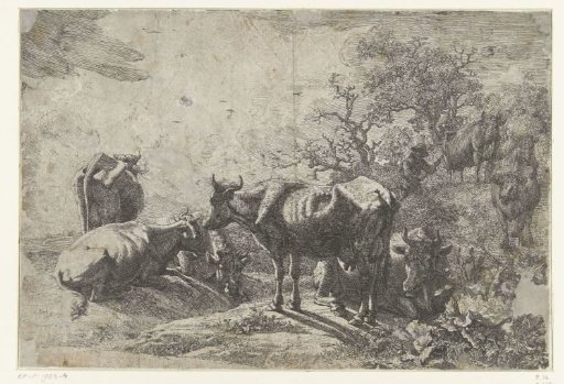 The cattle herder