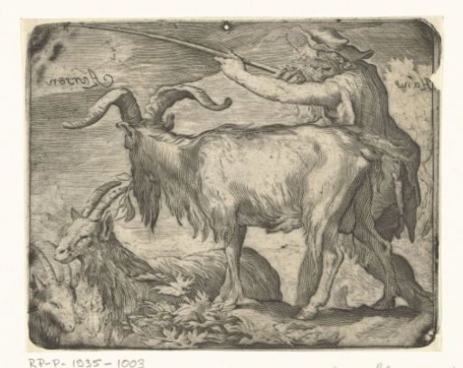 Boy with goats