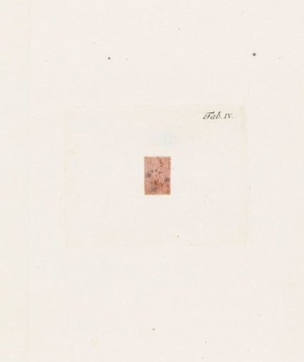 Anatomical figure