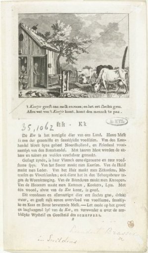 Cows by a barn