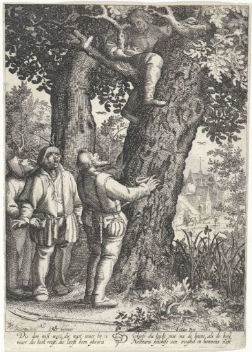 Bird's Nest Robber