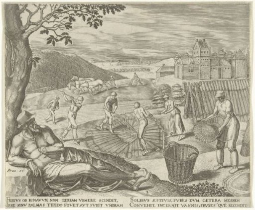 The Sloth Lies Under a Tree During the Harvest