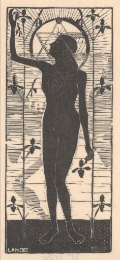 Standing Naked Woman by Plant Stalks