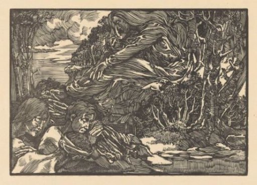 Vision in the Forest