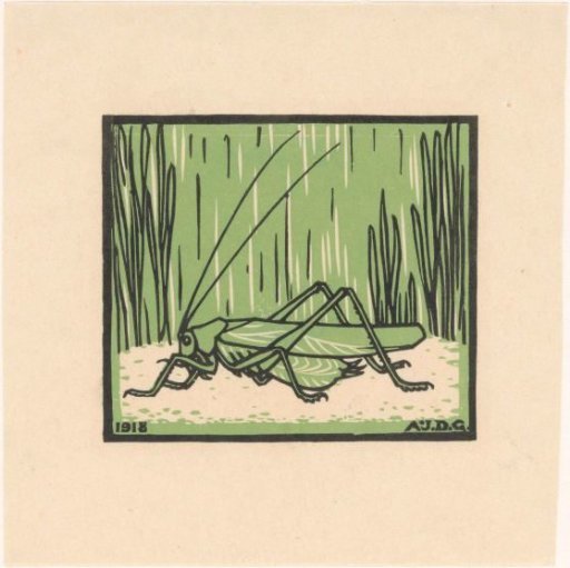 Grasshopper