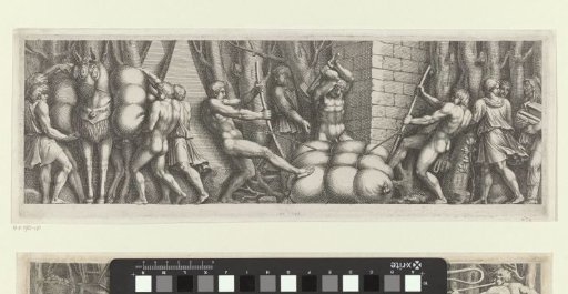Loading of Horses