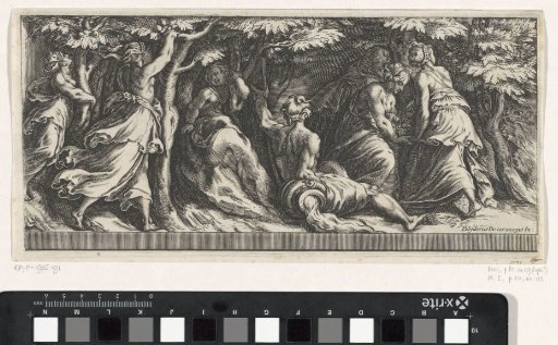 Nymphs in the Garden of the Hesperides
