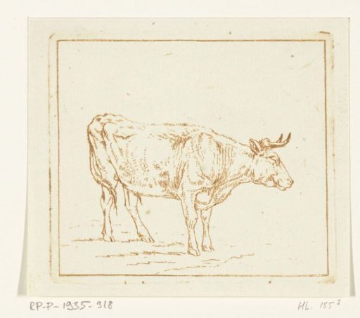 Bull standing, to the left