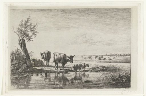 Pastoral landscape with cows by water