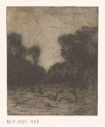 Landscape with trees at evening
