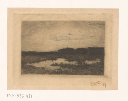 Heath landscape at evening