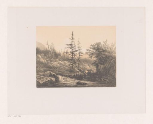 Mountain landscape with firs and a stream