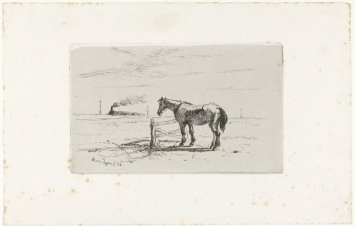 Horse in a meadow