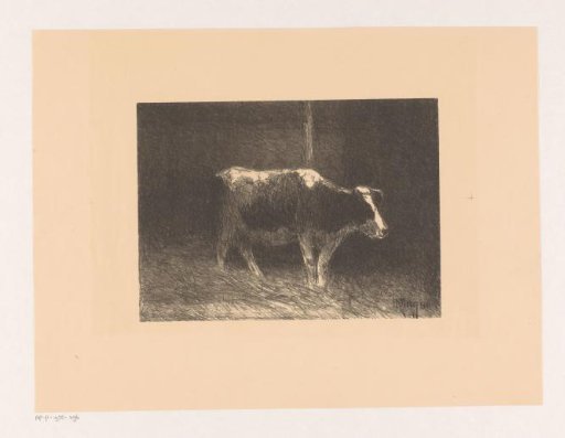 Cow in a stable