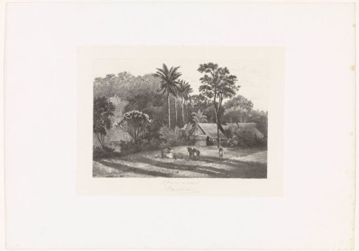 Tropical Landscape