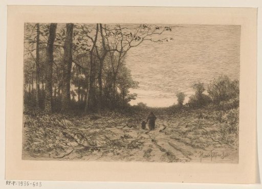 Woman and child walking on a forest path